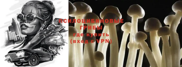 прущий лед Богородск