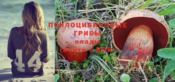 прущий лед Богородск